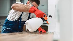 Best Residential Pest Control  in Brownsville, LA