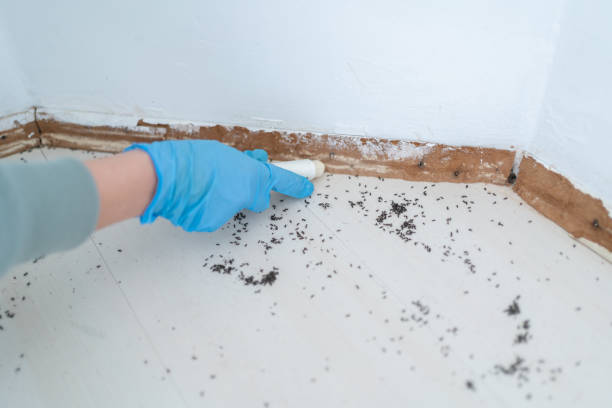 Best Pest Exclusion Services  in Brownsville, LA